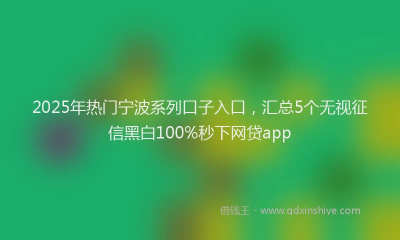 2025年热门宁波系列口子入口，汇总5个无视征信黑白100%秒下网贷app