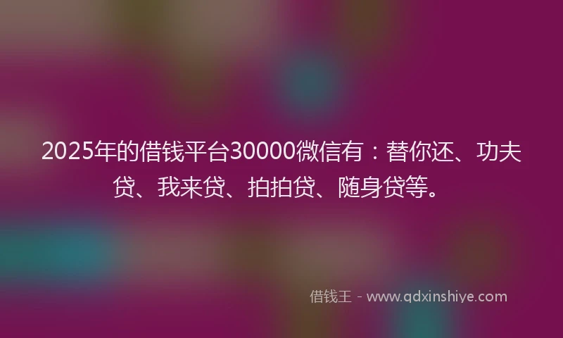 2025年的借钱平台30000微信有：替你还、功夫贷、我来贷、拍拍贷、随身贷等。