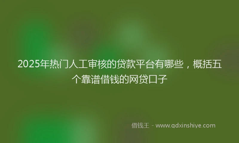 2025年热门人工审核的贷款平台有哪些，概括五个靠谱借钱的网贷口子