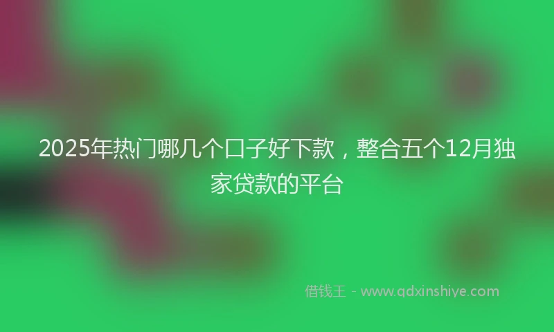 2025年热门哪几个口子好下款，整合五个12月独家贷款的平台