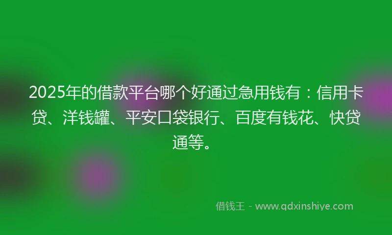 2025年的借款平台哪个好通过急用钱有：信用卡贷、洋钱罐、平安口袋银行、百度有钱花、快贷通等。