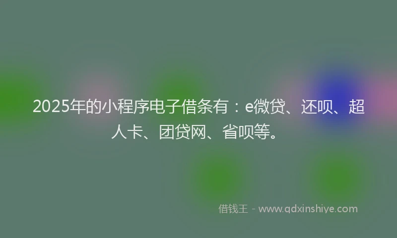 2025年的小程序电子借条有：e微贷、还呗、超人卡、团贷网、省呗等。