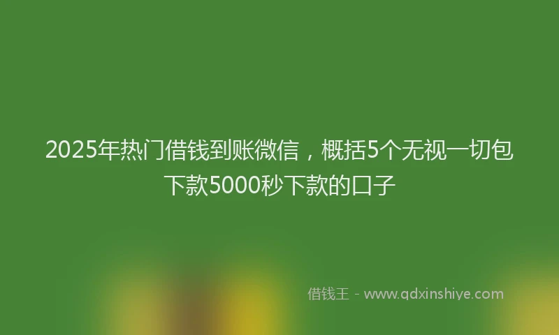 2025年热门借钱到账微信，概括5个无视一切包下款5000秒下款的口子