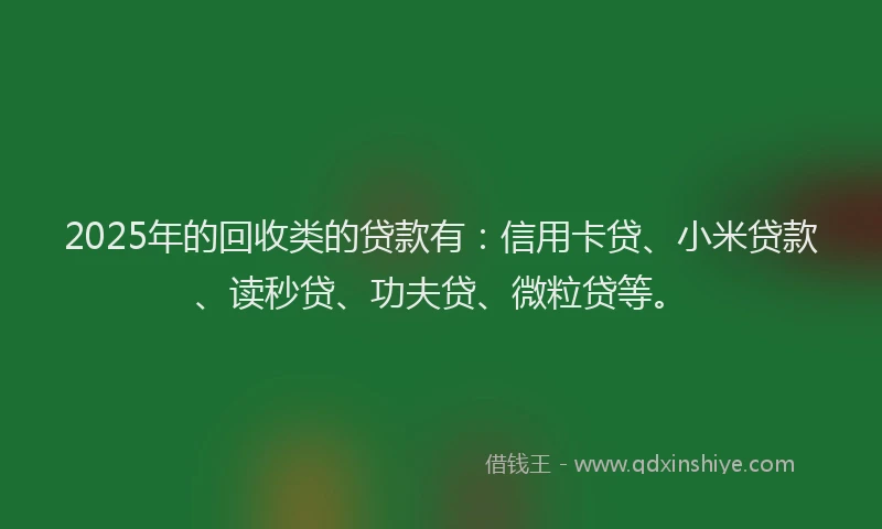 2025年的回收类的贷款有：信用卡贷、小米贷款、读秒贷、功夫贷、微粒贷等。