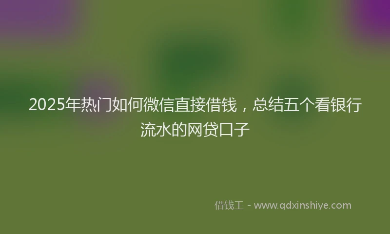2025年热门如何微信直接借钱，总结五个看银行流水的网贷口子