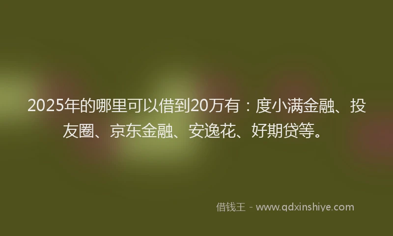 2025年的哪里可以借到20万有：度小满金融、投友圈、京东金融、安逸花、好期贷等。