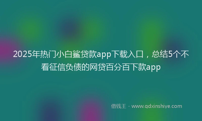 2025年热门小白鲨贷款app下载入口，总结5个不看征信负债的网贷百分百下款app