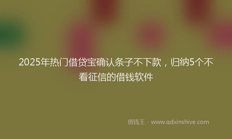 2025年热门借贷宝确认条子不下款,归纳5个不看征信的借钱软件