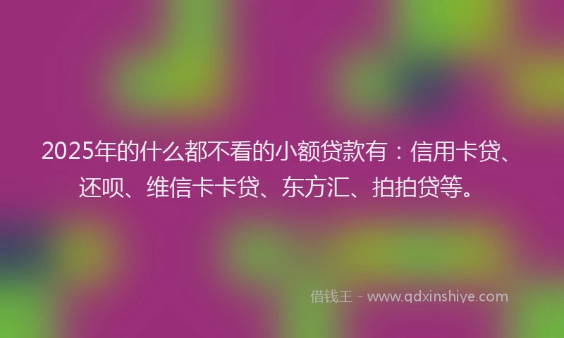 2025年的什么都不看的小额贷款有：信用卡贷、还呗、维信卡卡贷、东方汇、拍拍贷等。
