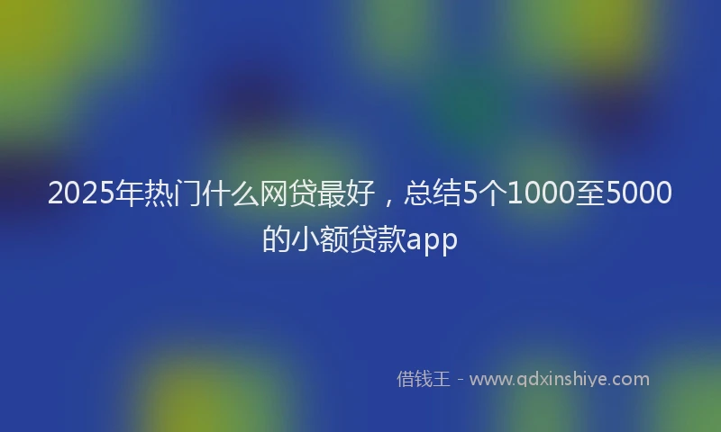 2025年热门什么网贷最好，总结5个1000至5000的小额贷款app