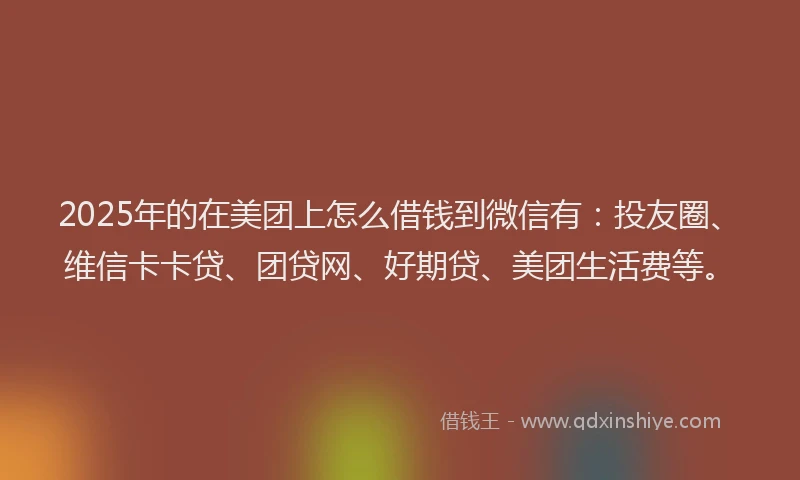 2025年的在美团上怎么借钱到微信有：投友圈、维信卡卡贷、团贷网、好期贷、美团生活费等。