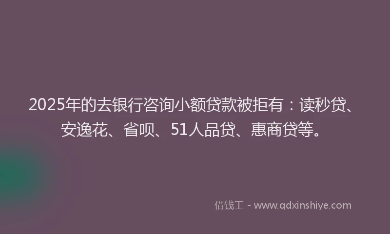 2025年的去银行咨询小额贷款被拒有：读秒贷、安逸花、省呗、51人品贷、惠商贷等。