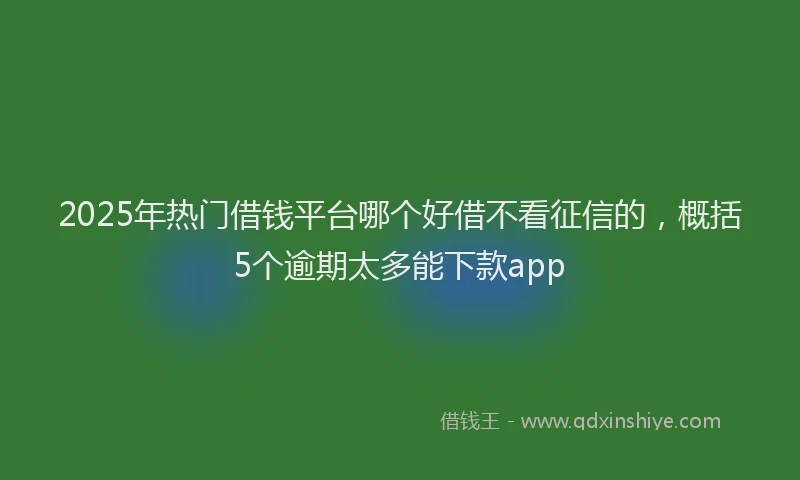 2025年热门借钱平台哪个好借不看征信的，概括5个逾期太多能下款app
