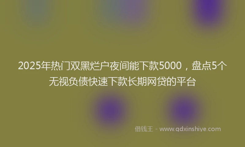 2025年热门双黑烂户夜间能下款5000，盘点5个无视负债快速下款长期网贷的平台