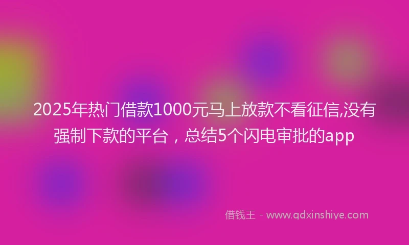 2025年热门借款1000元马上放款不看征信,没有强制下款的平台，总结5个闪电审批的app