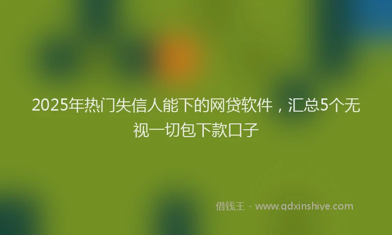 2025年热门失信人能下的网贷软件，汇总5个无视一切包下款口子