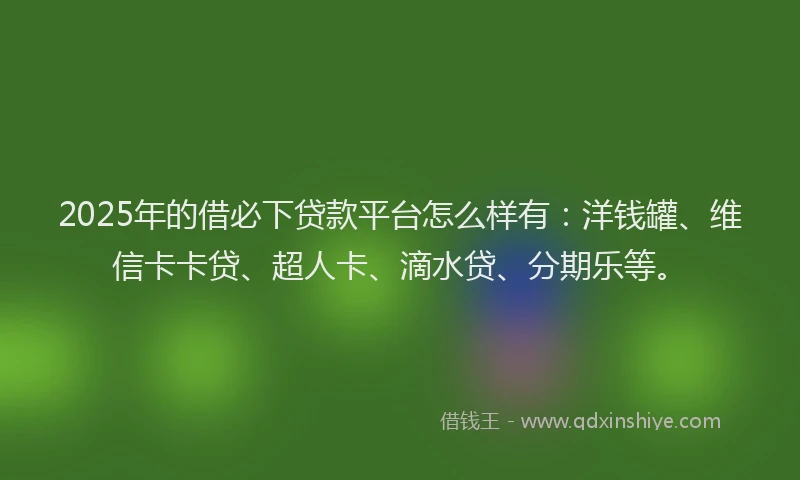 2025年的借必下贷款平台怎么样有：洋钱罐、维信卡卡贷、超人卡、滴水贷、分期乐等。