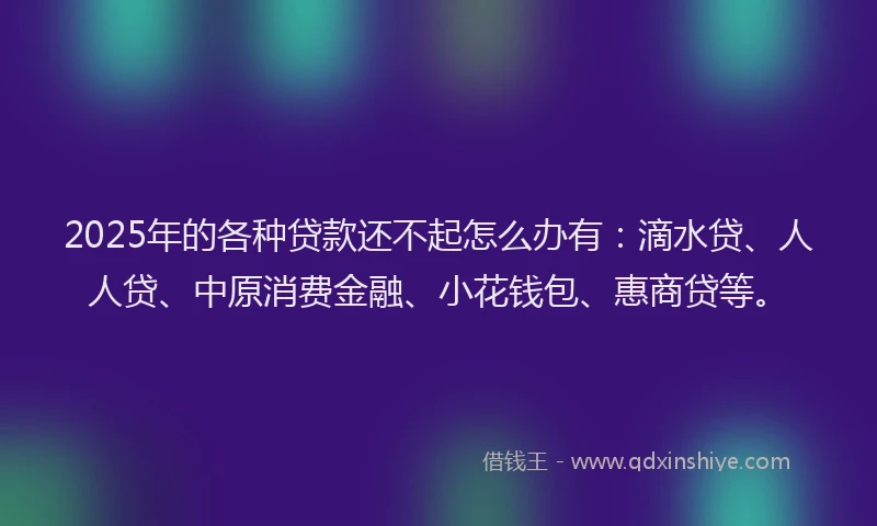 2025年的各种贷款还不起怎么办有：滴水贷、人人贷、中原消费金融、小花钱包、惠商贷等。