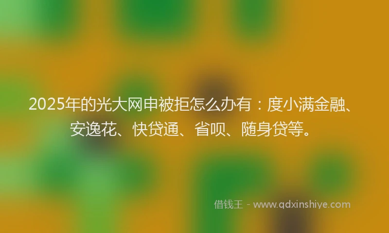 2025年的光大网申被拒怎么办有：度小满金融、安逸花、快贷通、省呗、随身贷等。