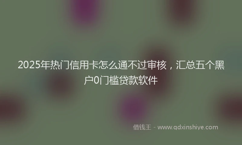 2025年热门信用卡怎么通不过审核，汇总五个黑户0门槛贷款软件