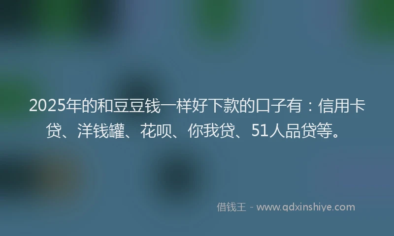 2025年的和豆豆钱一样好下款的口子有：信用卡贷、洋钱罐、花呗、你我贷、51人品贷等。