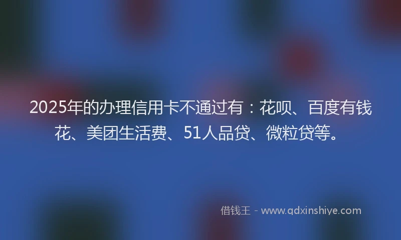 2025年的办理信用卡不通过有：花呗、百度有钱花、美团生活费、51人品贷、微粒贷等。