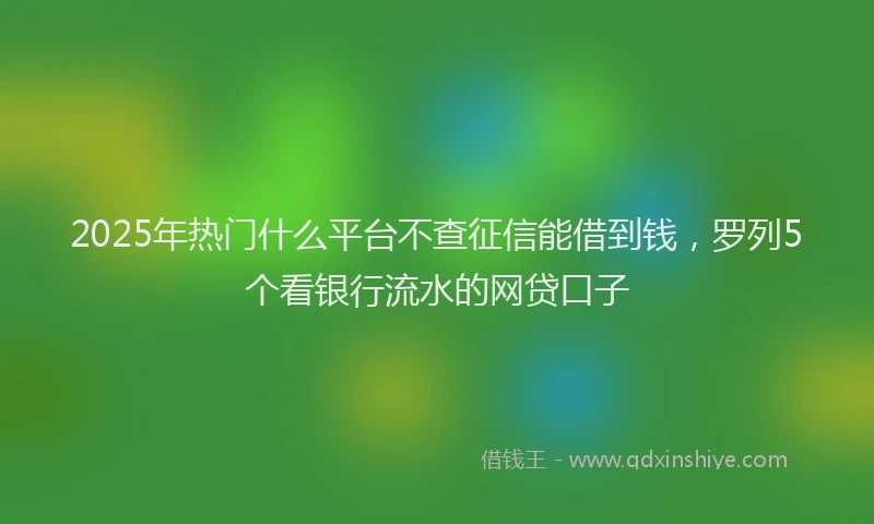 2025年热门什么平台不查征信能借到钱，罗列5个看银行流水的网贷口子