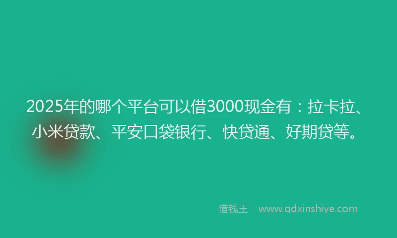 2025年的哪个平台可以借3000现金有：拉卡拉、小米贷款、平安口袋银行、快贷通、好期贷等。