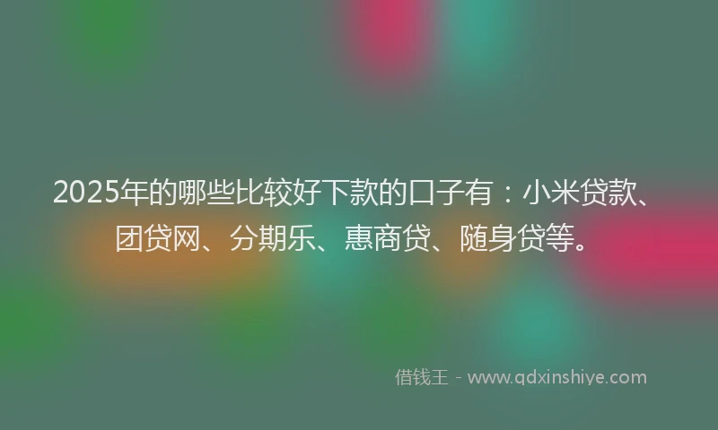 2025年的哪些比较好下款的口子有：小米贷款、团贷网、分期乐、惠商贷、随身贷等。
