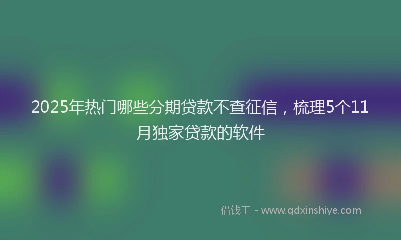 2025年热门哪些分期贷款不查征信，梳理5个11月独家贷款的软件