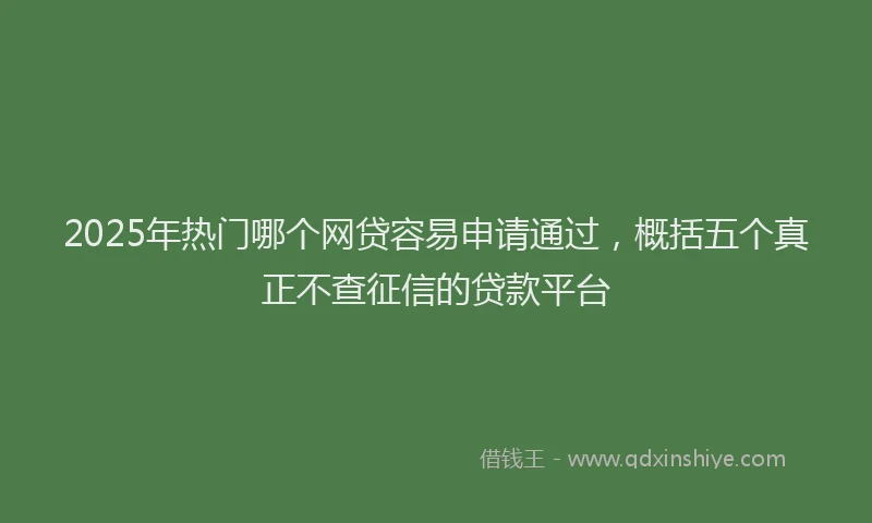 2025年热门哪个网贷容易申请通过，概括五个真正不查征信的贷款平台