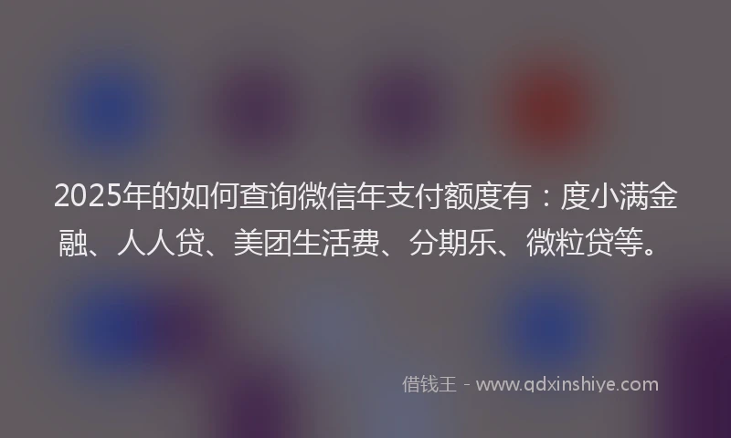 2025年的如何查询微信年支付额度有：度小满金融、人人贷、美团生活费、分期乐、微粒贷等。