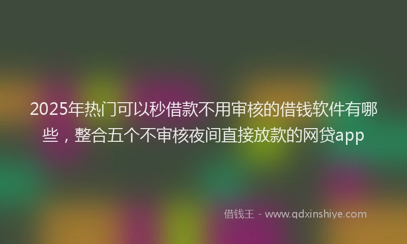 2025年热门可以秒借款不用审核的借钱软件有哪些，整合五个不审核夜间直接放款的网贷app