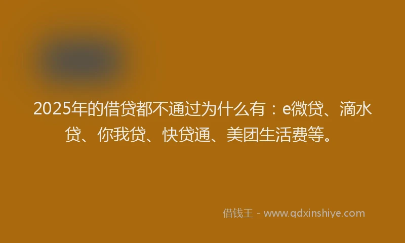 2025年的借贷都不通过为什么有：e微贷、滴水贷、你我贷、快贷通、美团生活费等。