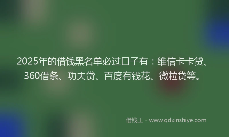 2025年的借钱黑名单必过口子有：维信卡卡贷、360借条、功夫贷、百度有钱花、微粒贷等。