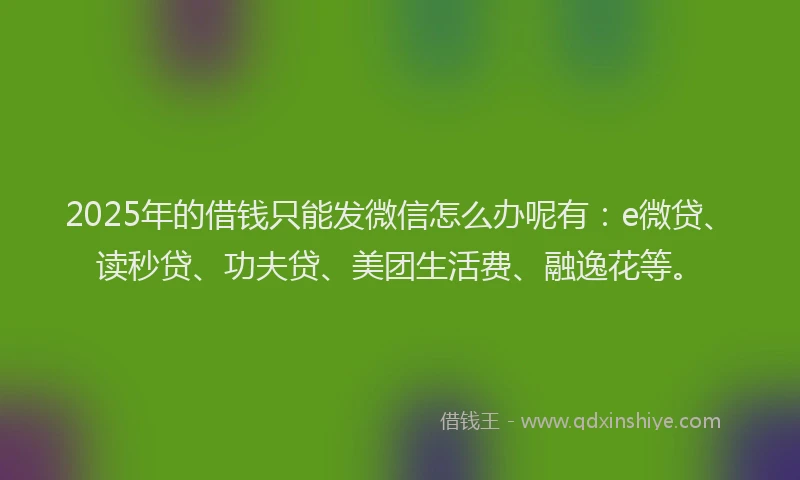 2025年的借钱只能发微信怎么办呢有：e微贷、读秒贷、功夫贷、美团生活费、融逸花等。