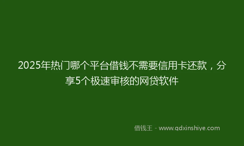 2025年热门哪个平台借钱不需要信用卡还款，分享5个极速审核的网贷软件