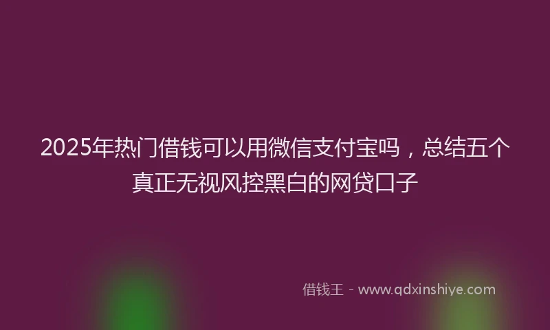 2025年热门借钱可以用微信支付宝吗，总结五个真正无视风控黑白的网贷口子