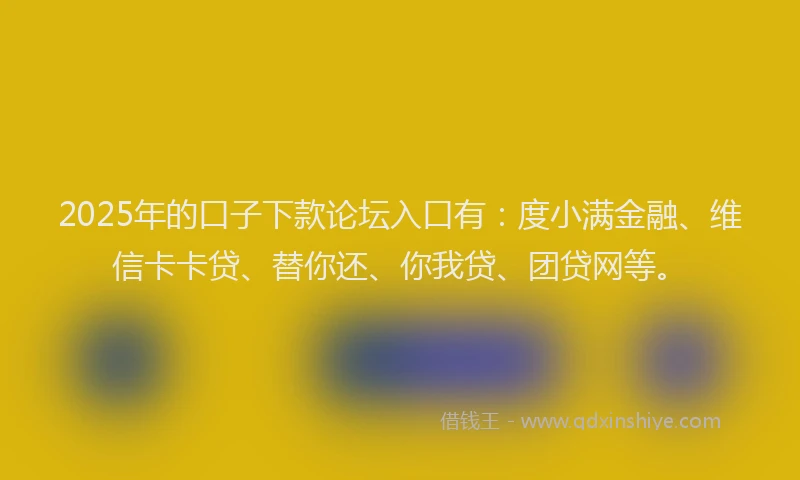 2025年的口子下款论坛入口有：度小满金融、维信卡卡贷、替你还、你我贷、团贷网等。