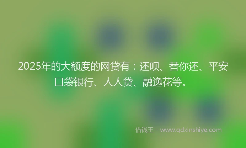 2025年的大额度的网贷有：还呗、替你还、平安口袋银行、人人贷、融逸花等。