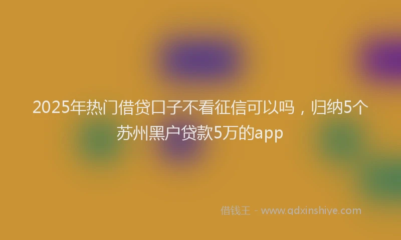 2025年热门借贷口子不看征信可以吗，归纳5个苏州黑户贷款5万的app