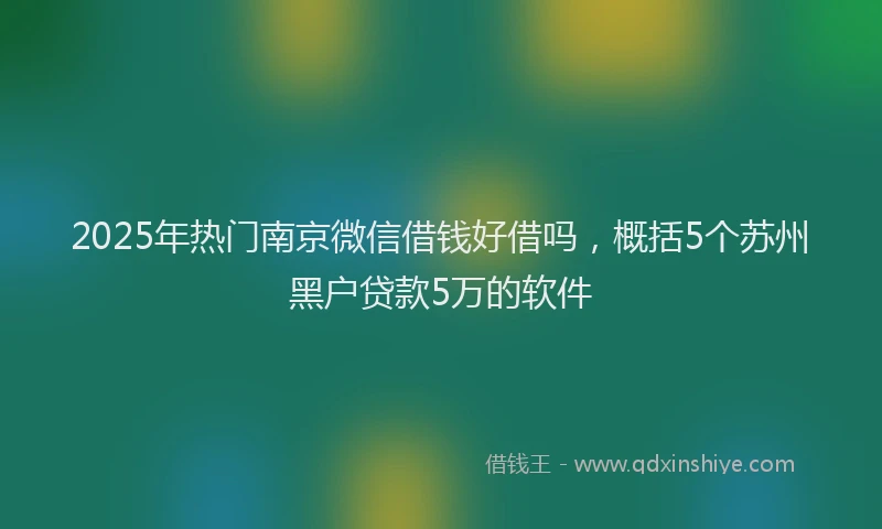 2025年热门南京微信借钱好借吗，概括5个苏州黑户贷款5万的软件