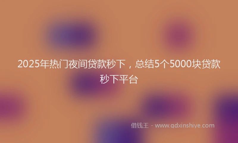 2025年热门夜间贷款秒下，总结5个5000块贷款秒下平台