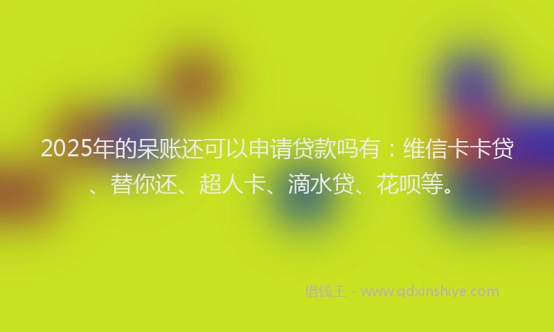 2025年的呆账还可以申请贷款吗有：维信卡卡贷、替你还、超人卡、滴水贷、花呗等。