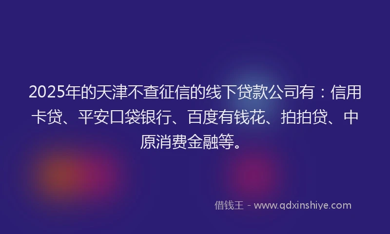 2025年的天津不查征信的线下贷款公司有：信用卡贷、平安口袋银行、百度有钱花、拍拍贷、中原消费金融等。