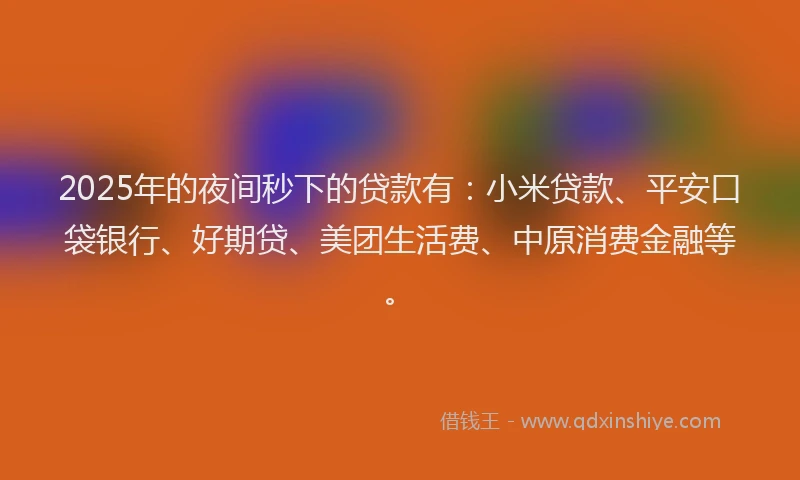 2025年的夜间秒下的贷款有：小米贷款、平安口袋银行、好期贷、美团生活费、中原消费金融等。