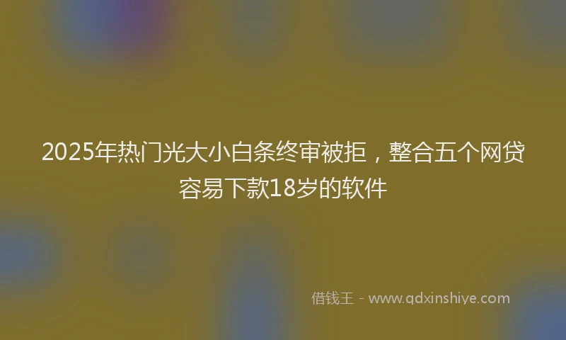 2025年热门光大小白条终审被拒，整合五个网贷容易下款18岁的软件