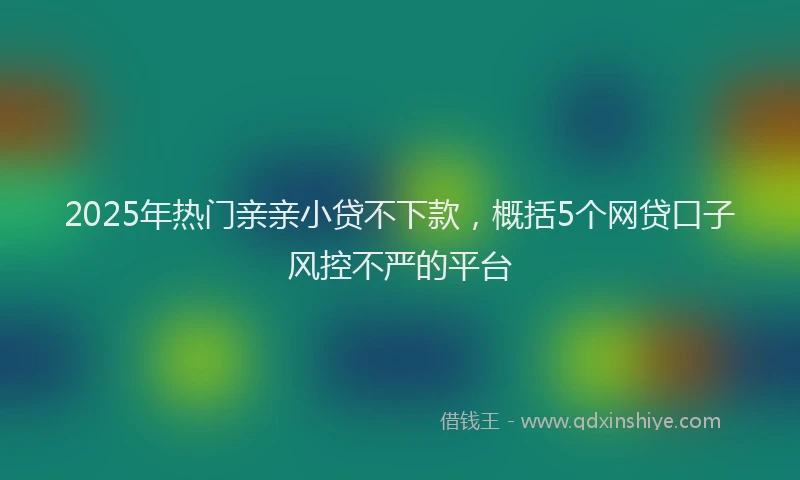 2025年热门亲亲小贷不下款，概括5个网贷口子风控不严的平台