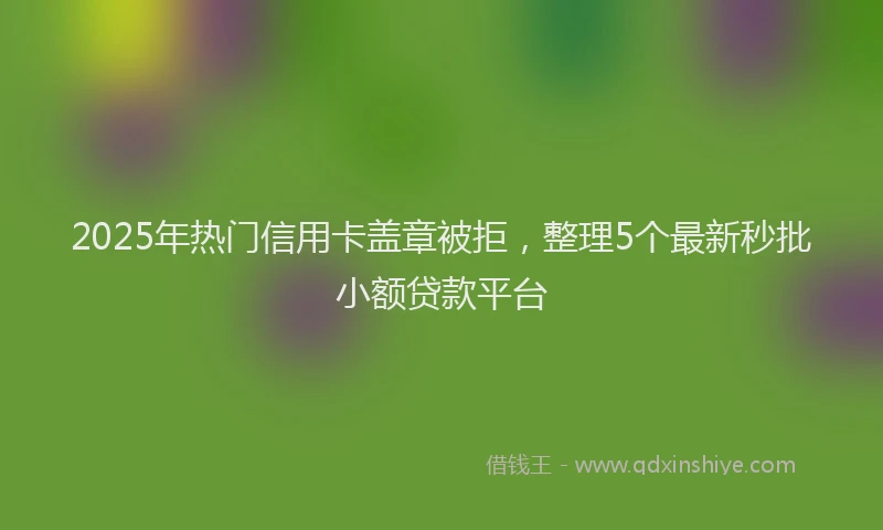 2025年热门信用卡盖章被拒，整理5个最新秒批小额贷款平台