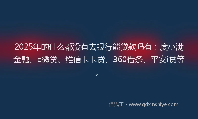 2025年的什么都没有去银行能贷款吗有：度小满金融、e微贷、维信卡卡贷、360借条、平安i贷等。